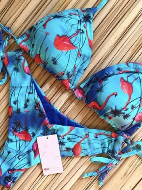 Bikinis Set Push up