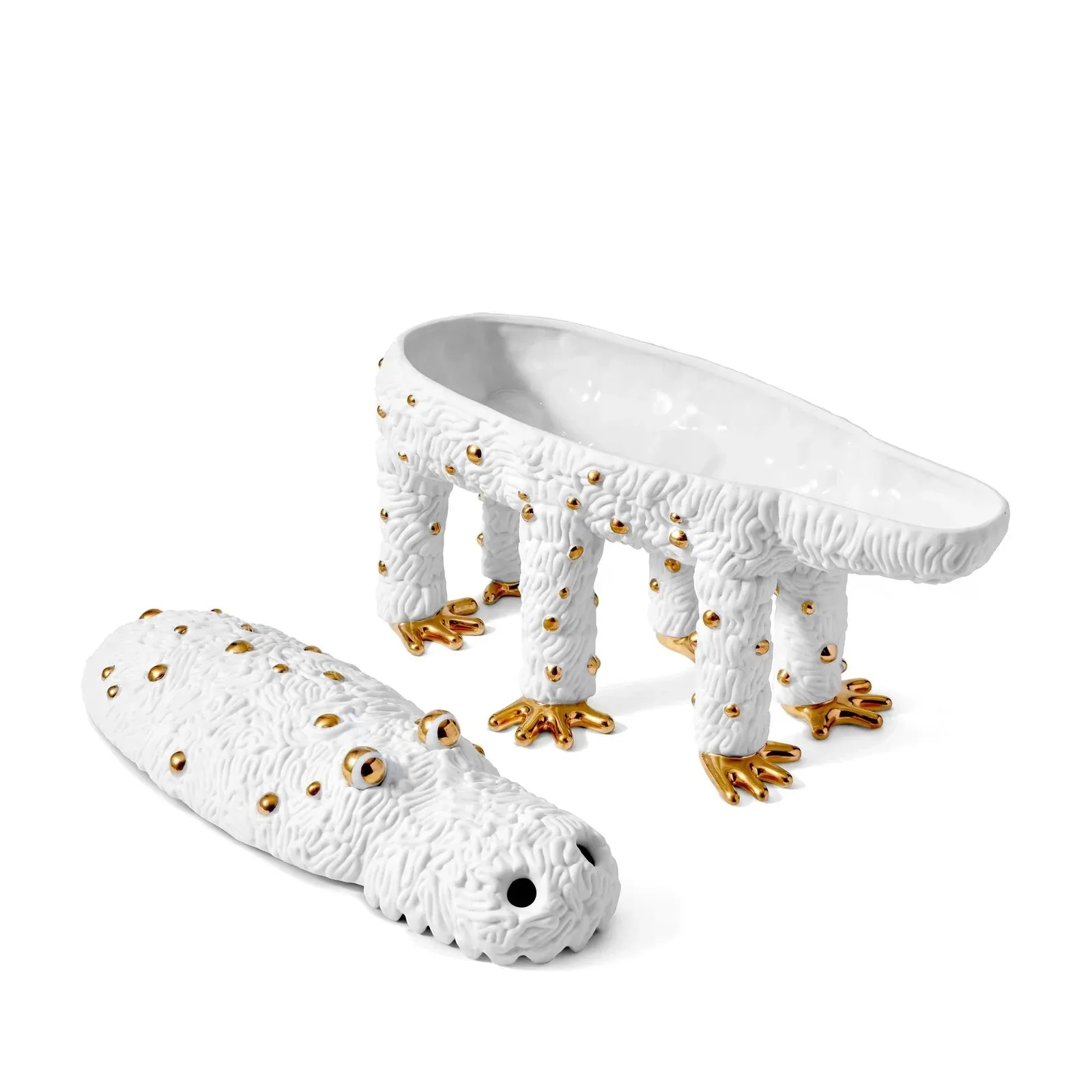 Haas Pedro the Croc Box-Limited Edition