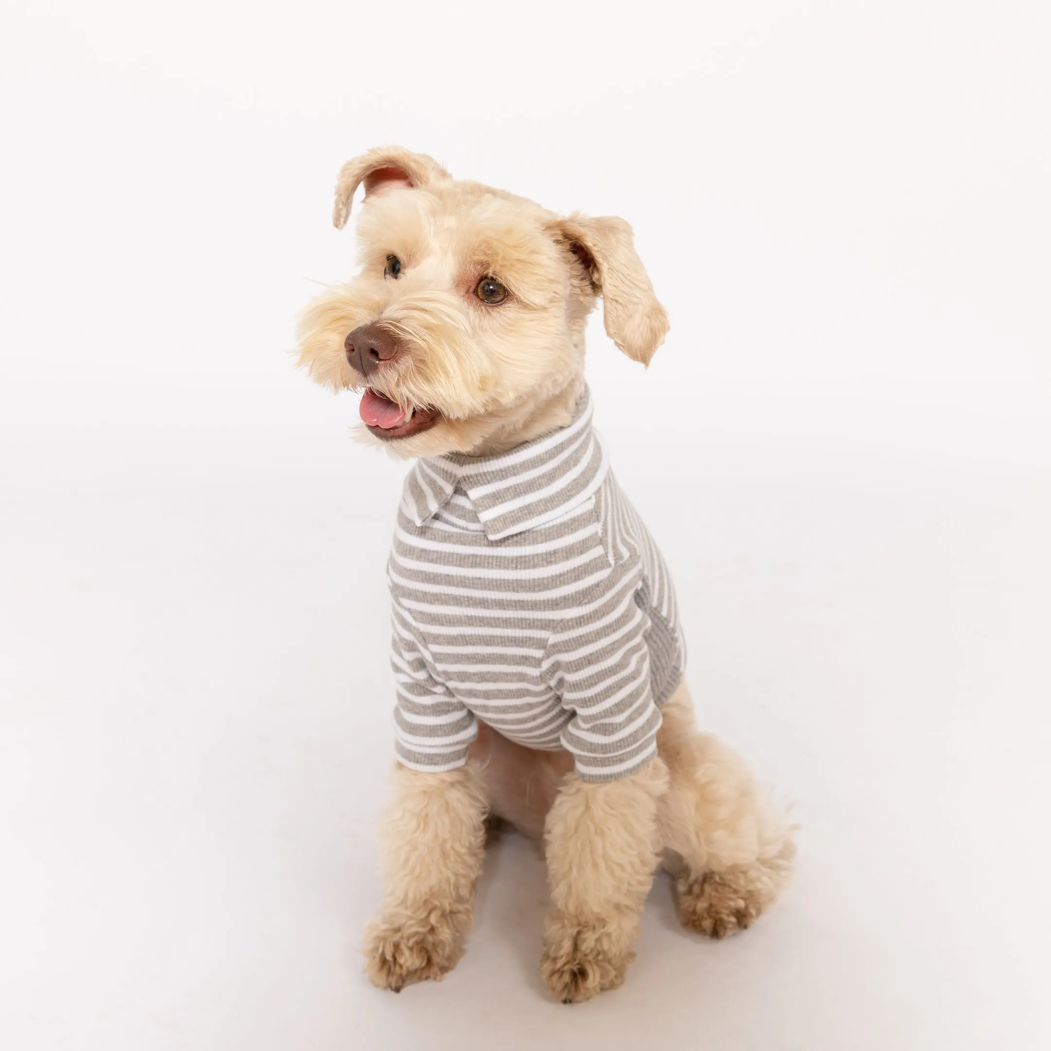 Heather Gray & Ivory Stripe