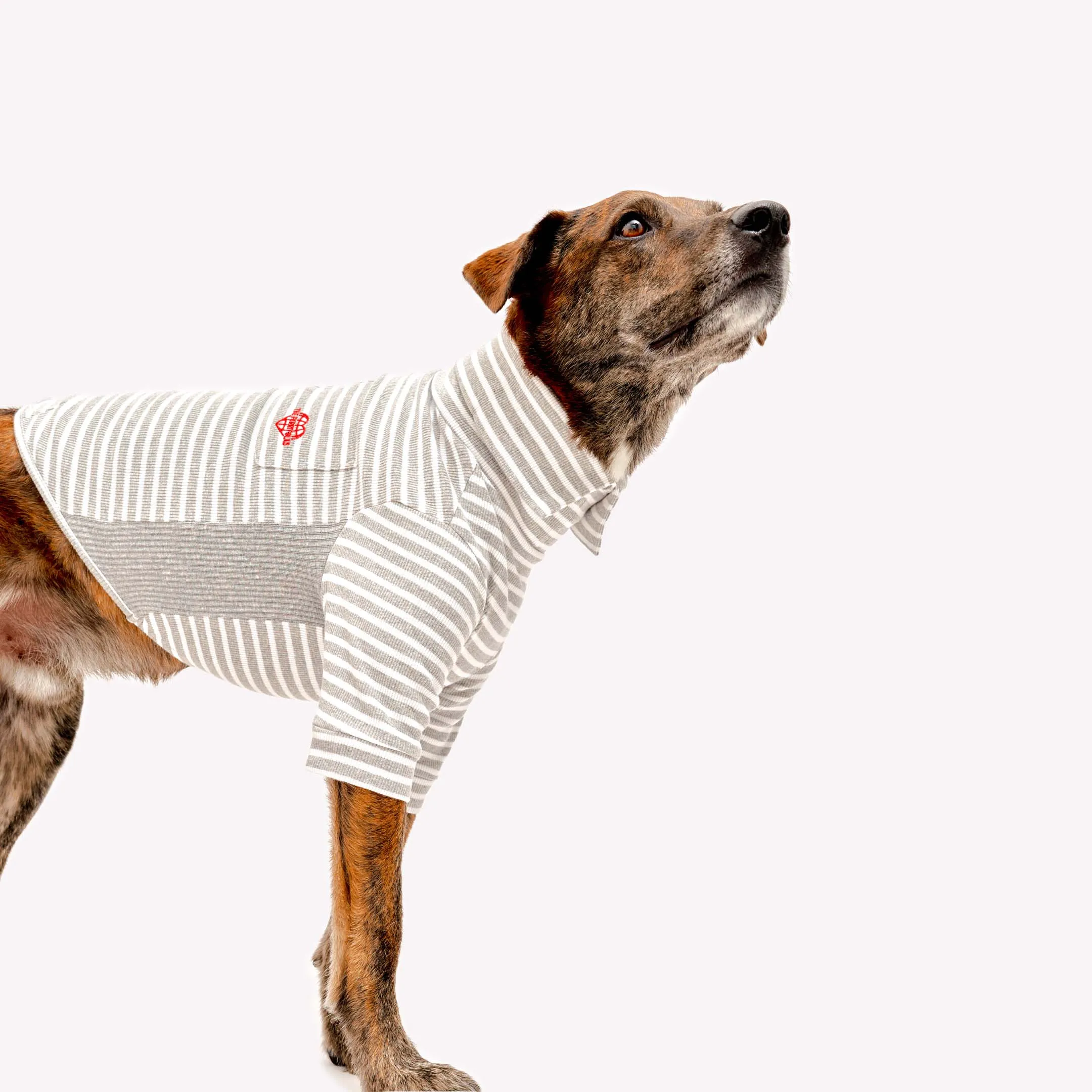 Heather Gray & Ivory Stripe