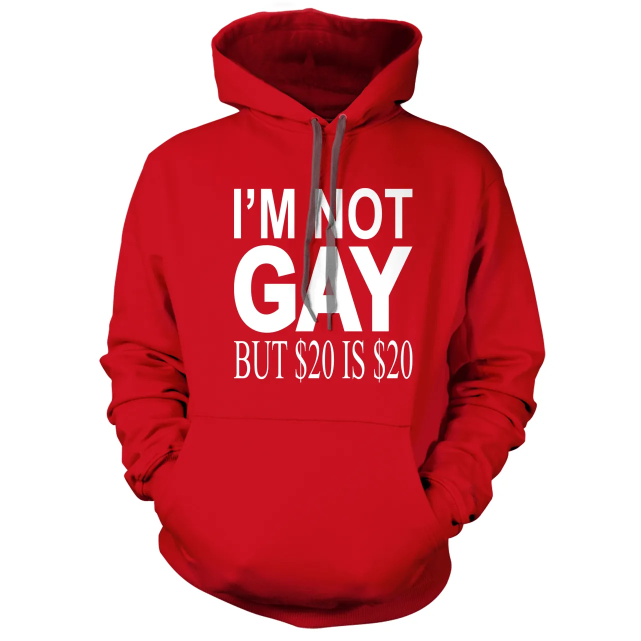 I'm Not Gay but $20 is $20 Hoodie