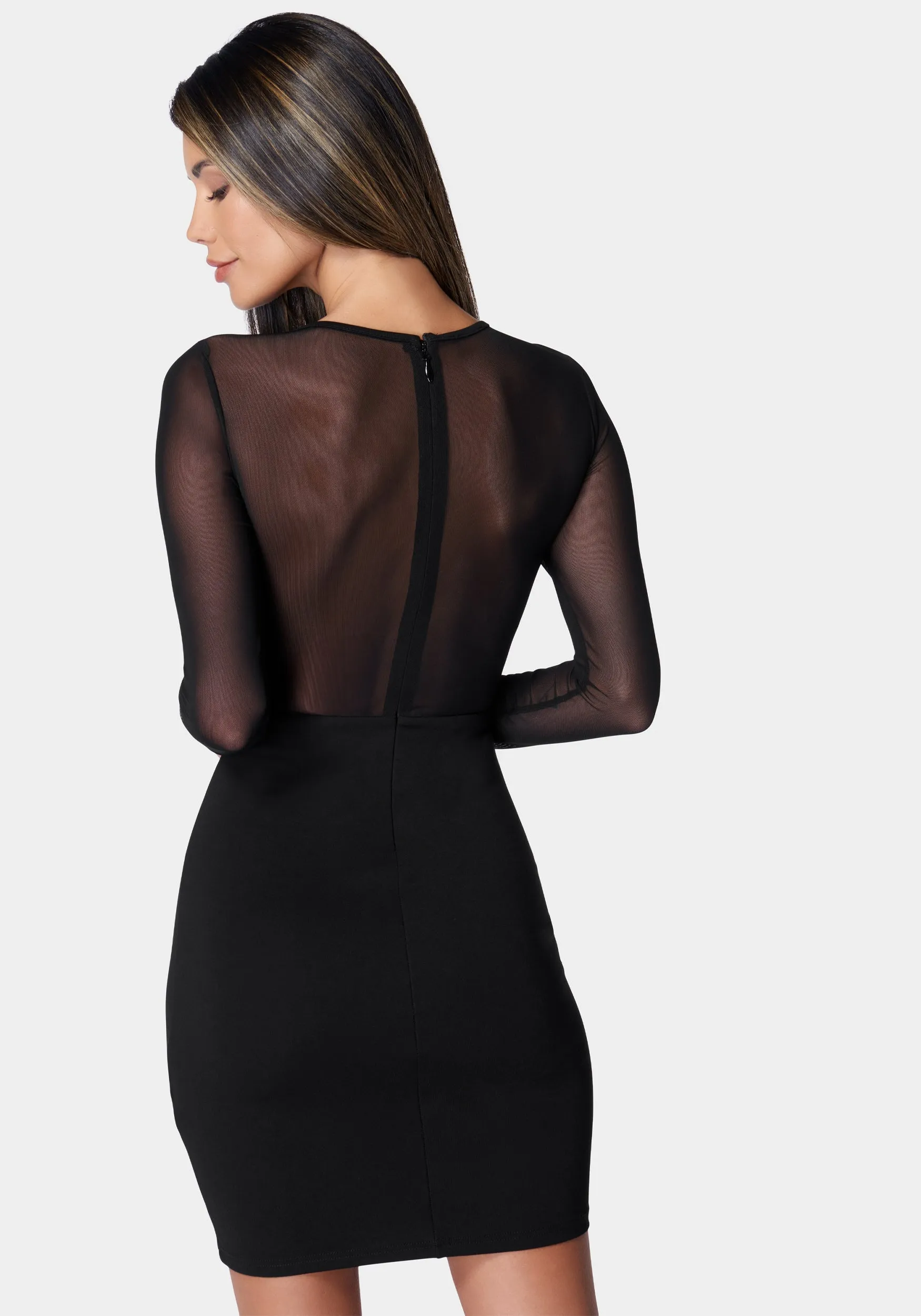 Mesh & Lace Illusion Dress