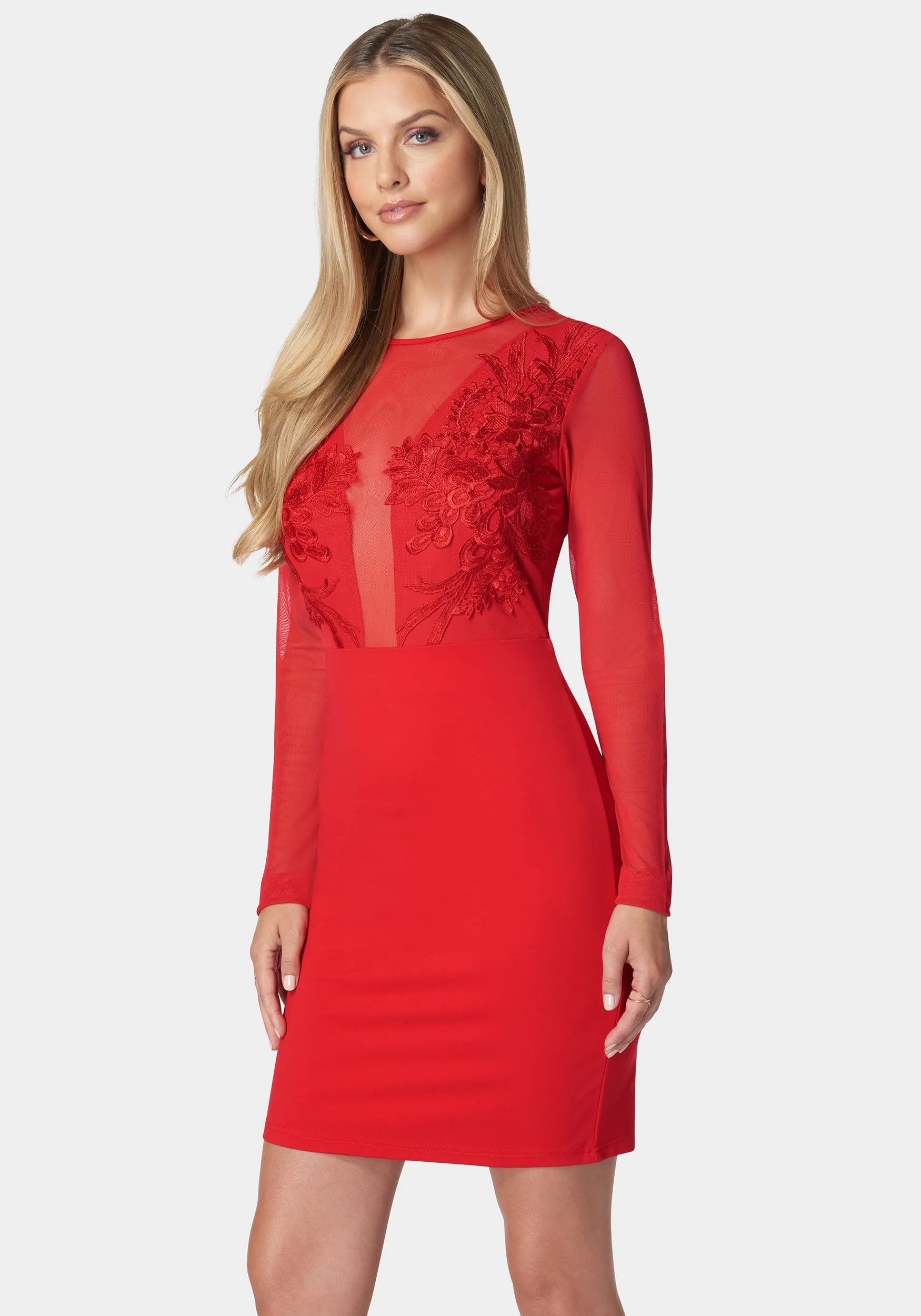 Mesh And Lace Illusion Dress